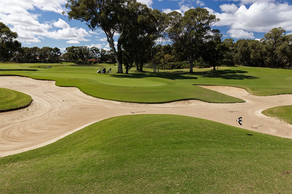 Etiquette and Dress Code